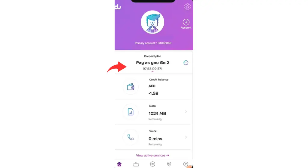 du sim number on the top of the app