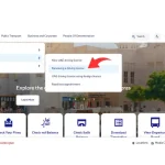 Driving License and click on the Renew a Driving License option
