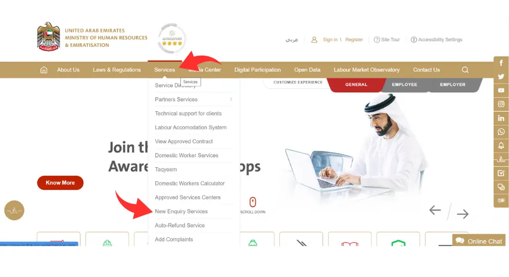 find the option New Enquiry Services on MOHRE Website