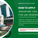 How to Apply Singapore Visa For UAE Residents